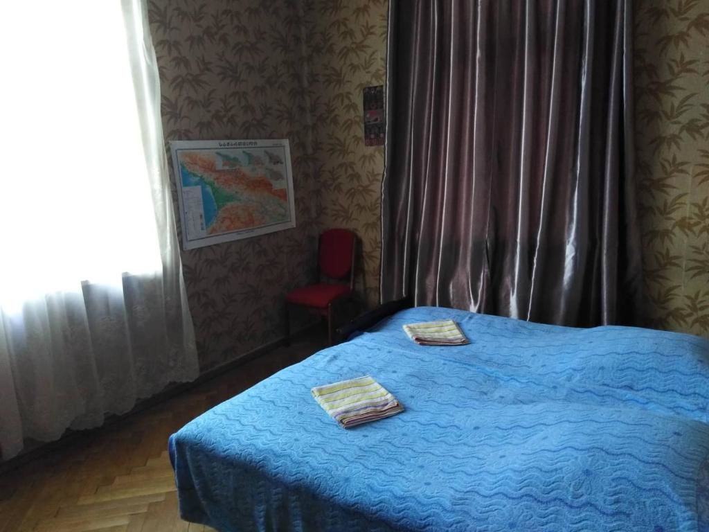 Гостевой дом Guest House Ruth Dedoplis Tskaro-20